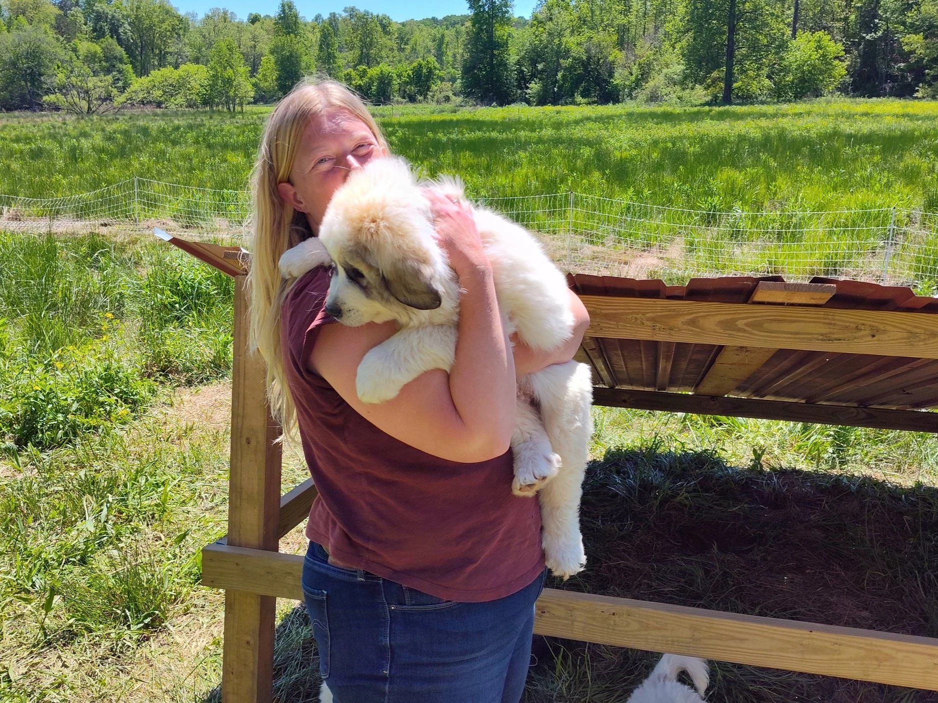 IMG_20240501_144947978_HDR A woman holds a fluffy puppy in her arms while standing in a lush green field, showcasing a serene rural setting with trees and a wooden structure in the background.