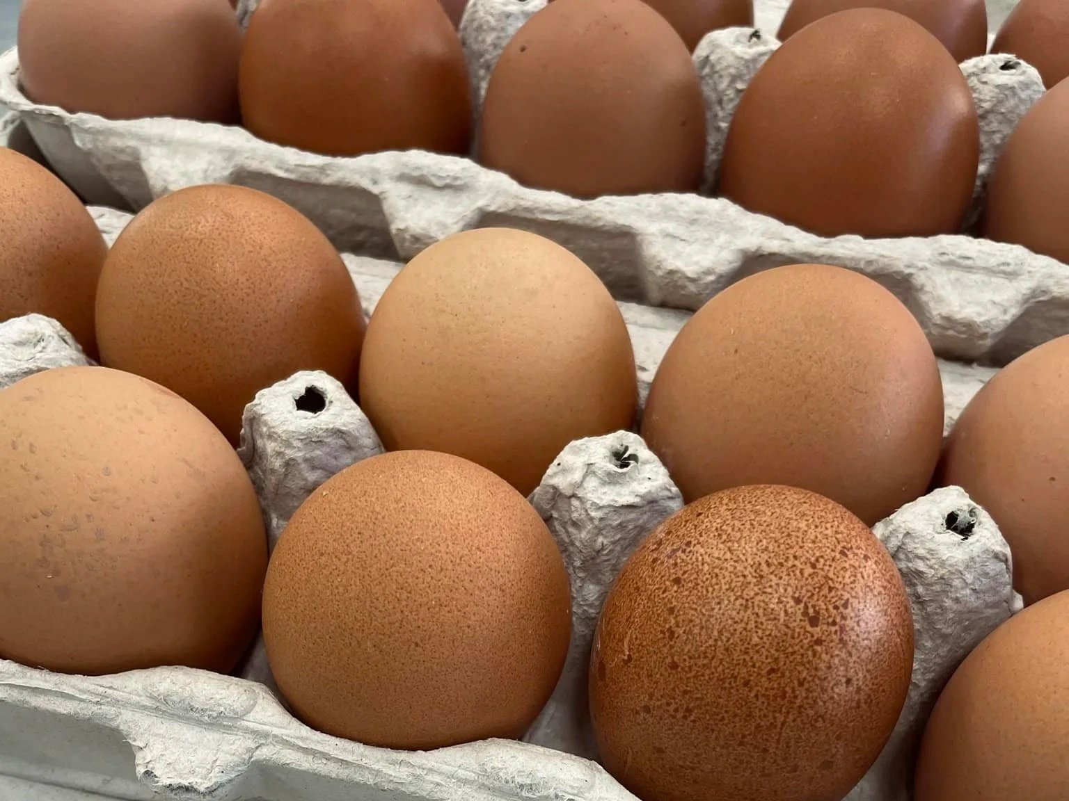 Close-up view of a carton filled with brown eggs, showcasing various shades and textures of the eggshells, highlighting their freshness and quality.